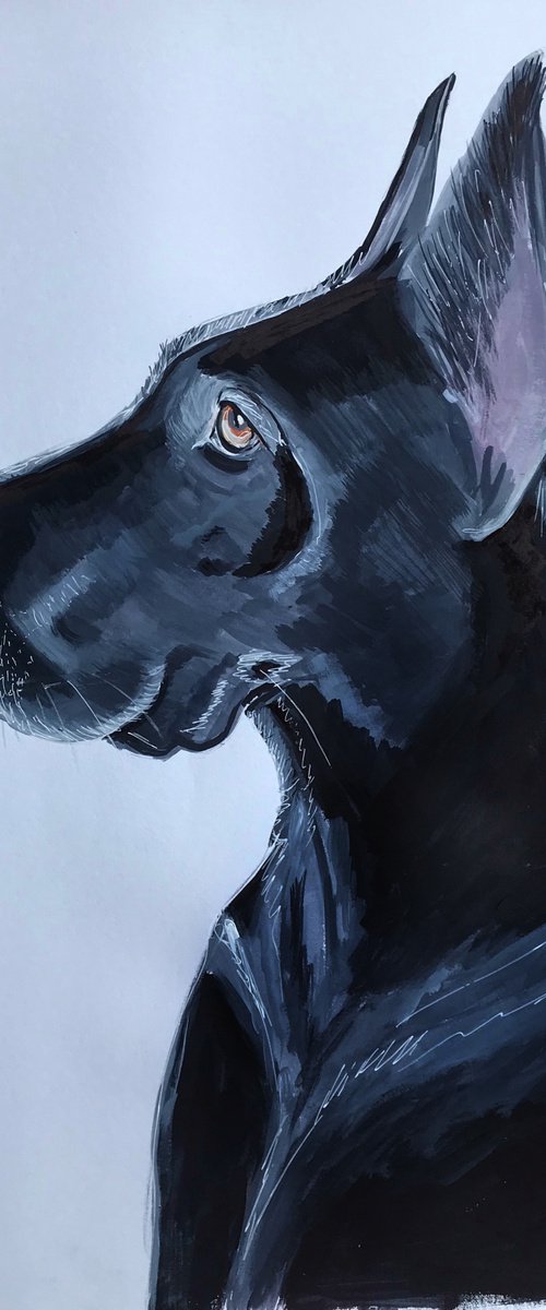 Great Dane Dog acrylic, watercolor pet portrait by Leysan Khasanova