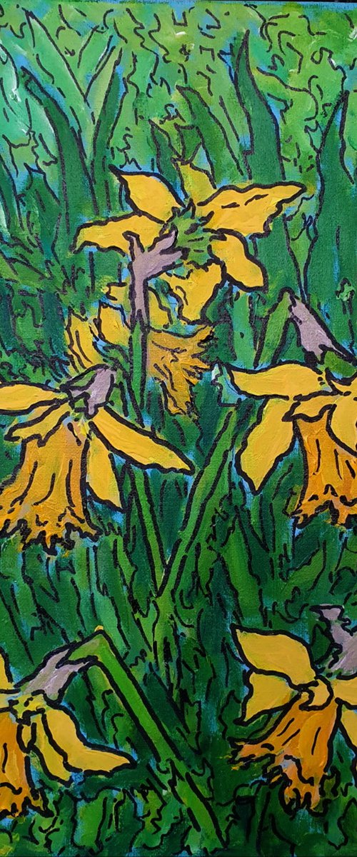 daffodils #1 by Colin Ross Jack