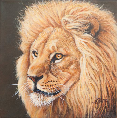 Lion portrait by Norma Beatriz Zaro