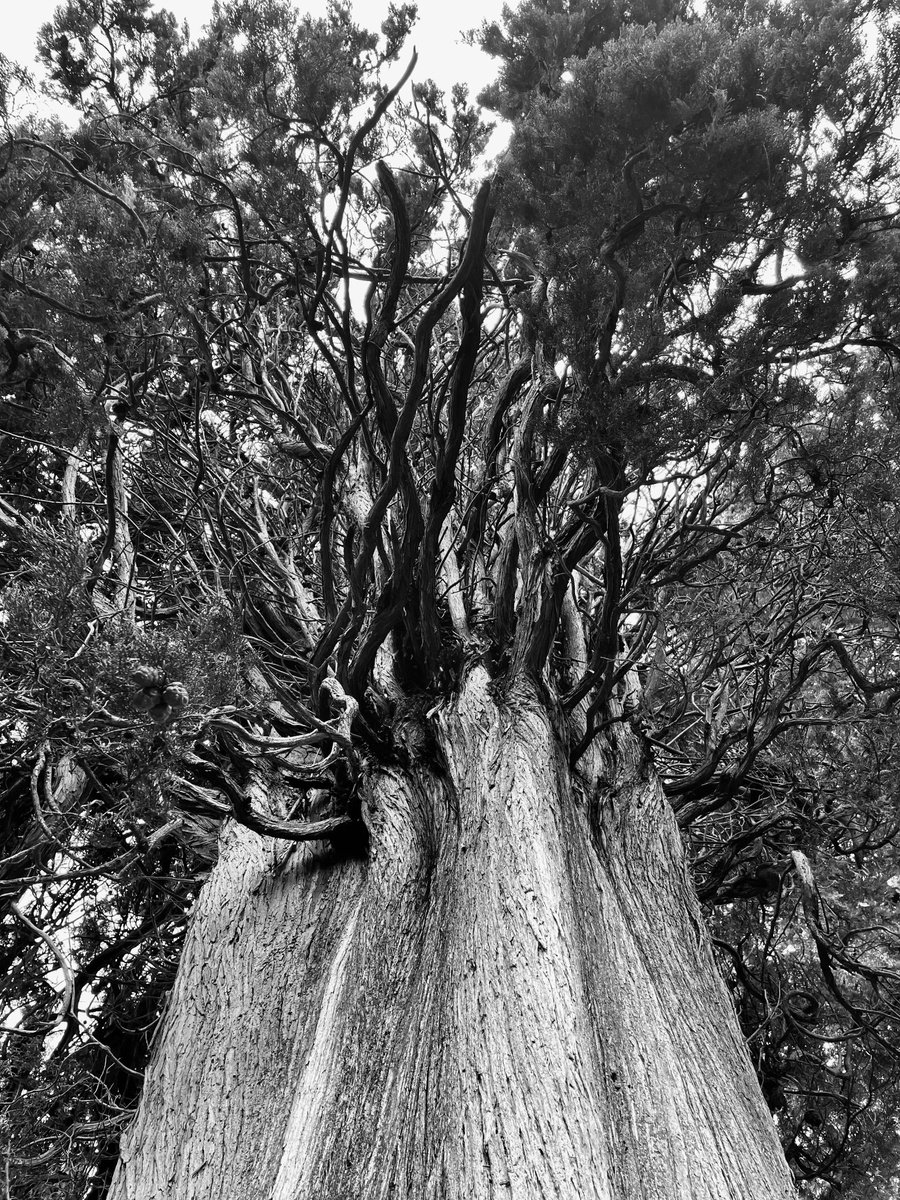 Photorealistic Landscape Photograph By Mattia Paoli, 44 X 59", Nt#183 Nature #3, Original Artwork