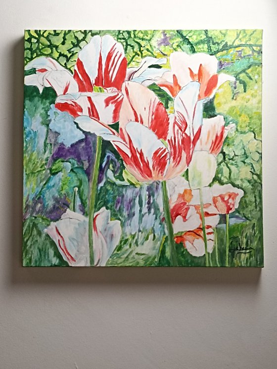 Tulips flowers