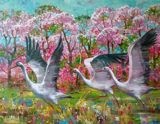 Storks on a Flower Meadow