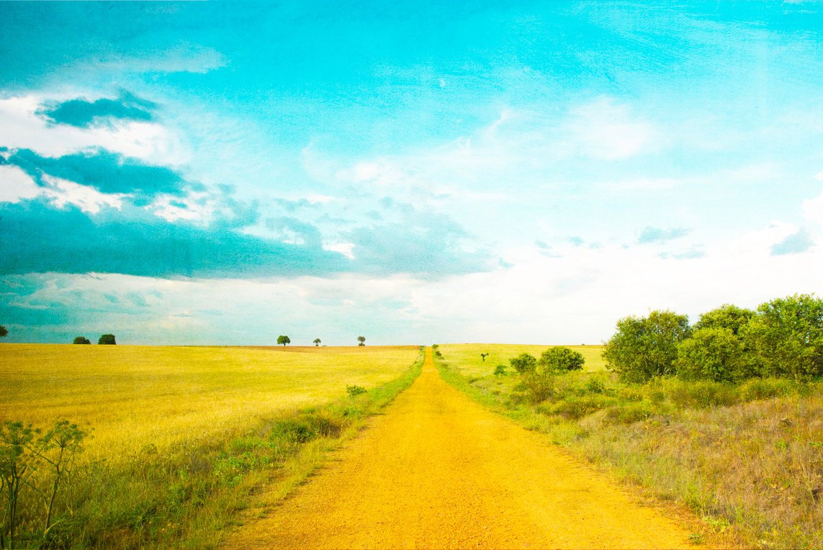 Impressionistic Botanical Photograph By Viet Ha Tran, 28 X 20", Flow Of Life Iii, Original Artwork