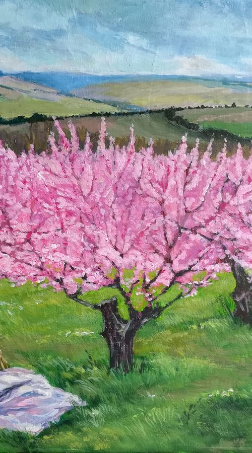 Among the blooming peach trees by Anastasia Zabrodina