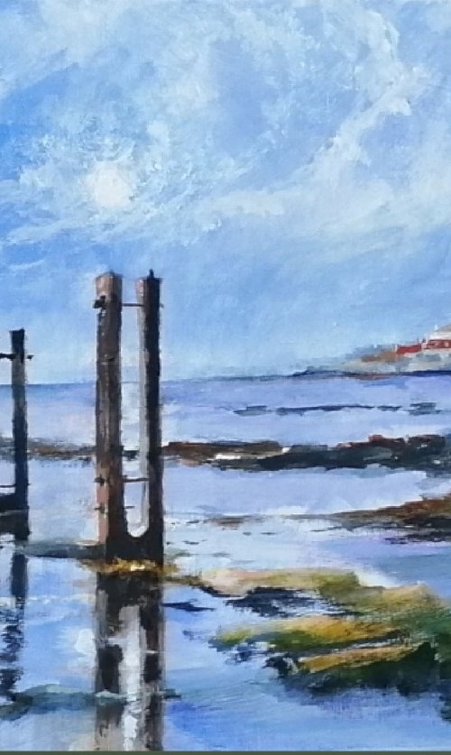 Low tide, St. Mary's Island by Alan Harris