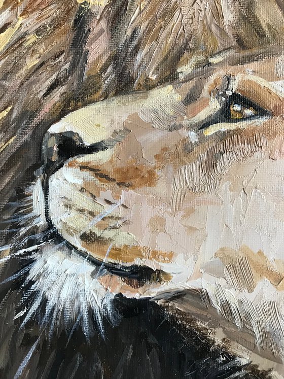 Animal painting Lion and Lioness impasto art 30x30cm