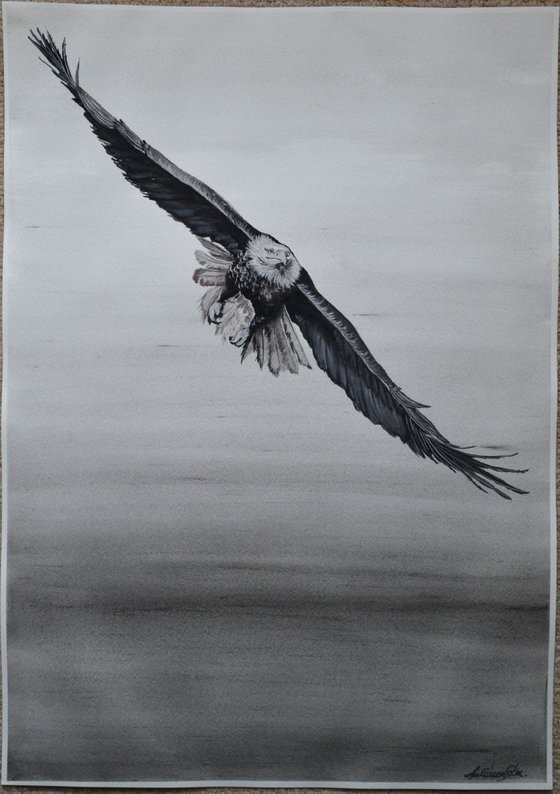 Freedom - Large 42 x 60 cm ( A2 )