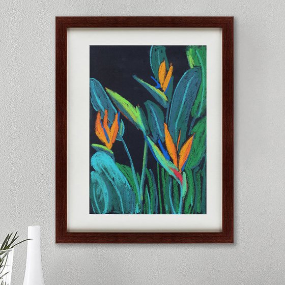 strelitzia flowers