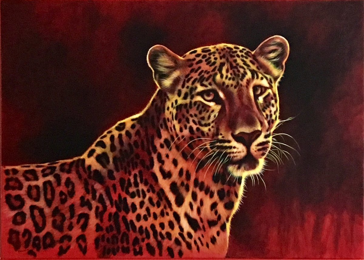 Leopard Dusk by Karl Hamilton-Cox