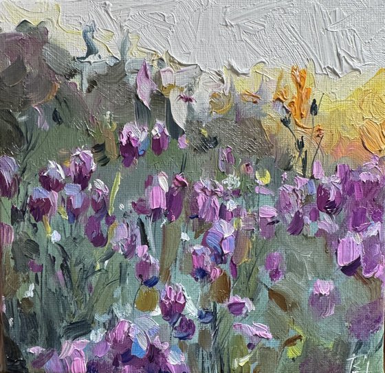 Lavender Field Symphony