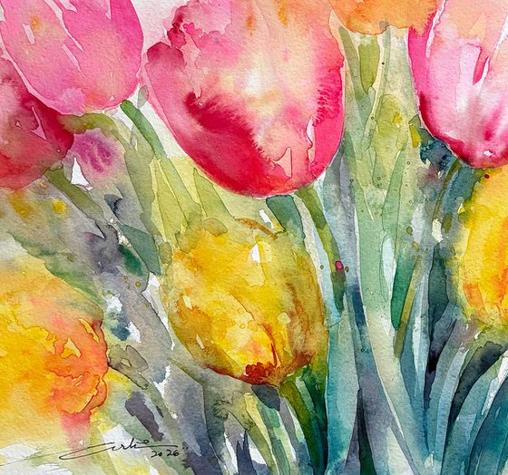 Morning Radiance_ Tulips