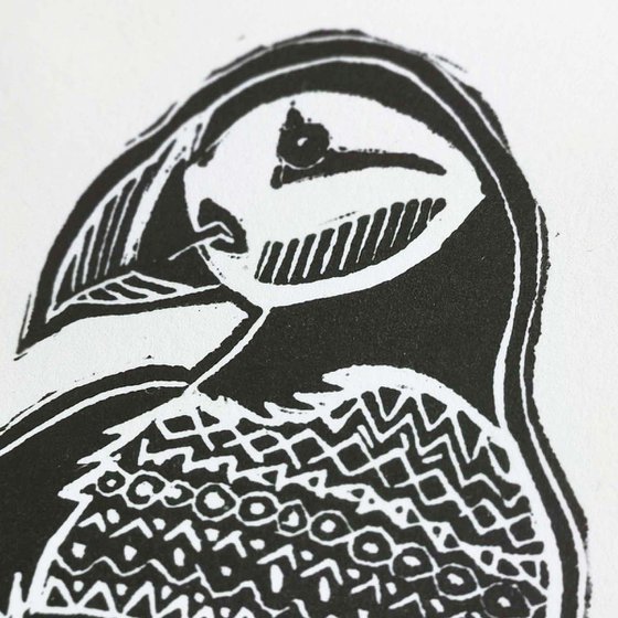 'Puffin' in 10"x8" mount