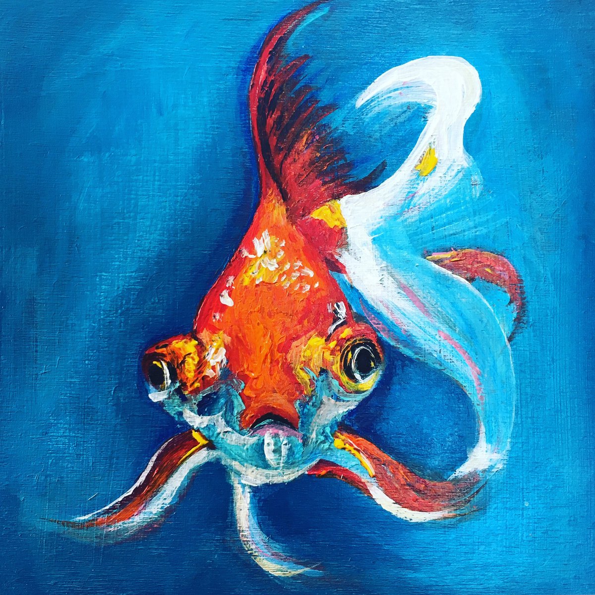 Goldfish by Charlotte Cala