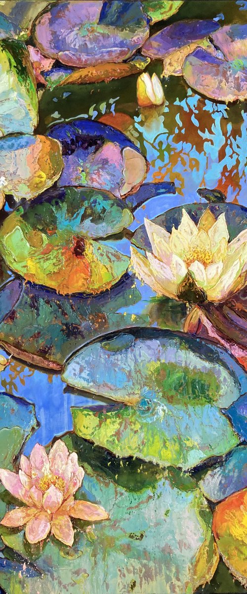 Water lilies by Andriy Vutyanov