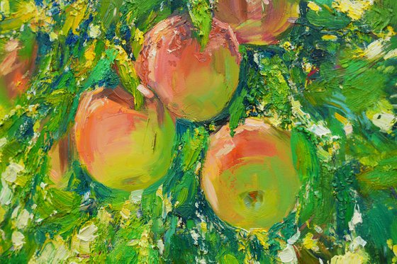 Apples in the garden