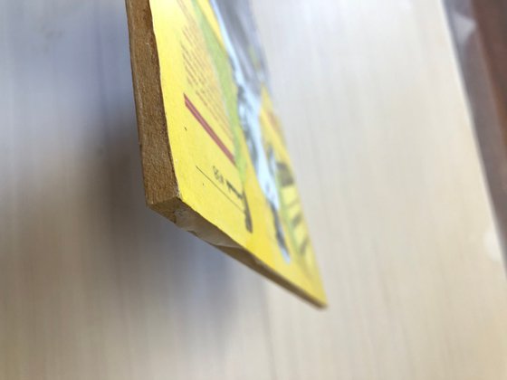 Reflection on Ping Pong and Sex