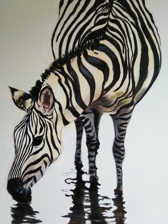 Zebra