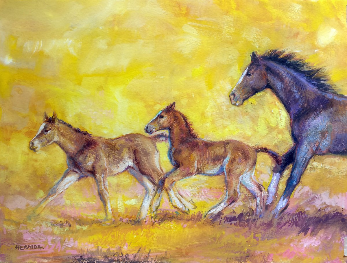 Galloping horses by Gabriel Hermida