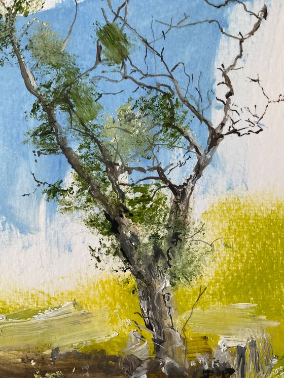 Half Dead Tree
