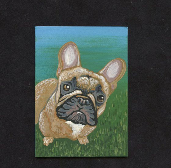 ACEO ATC Original Painting French Bulldog Pet Dog Art-Carla Smale