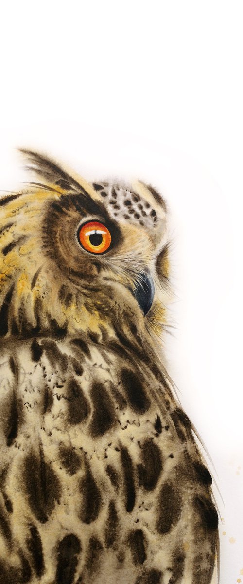 Owl portrait by Olga Beliaeva Watercolour