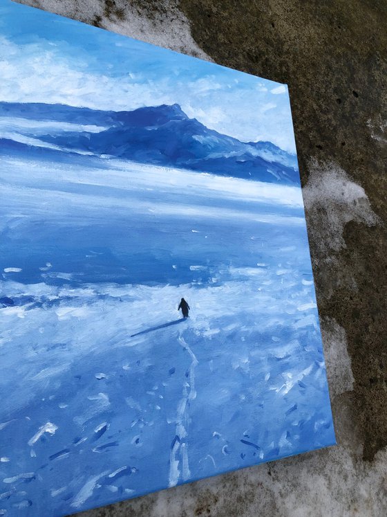 Lonely penguin, but why?