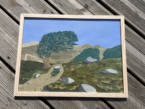 L’arbre penché - GR20