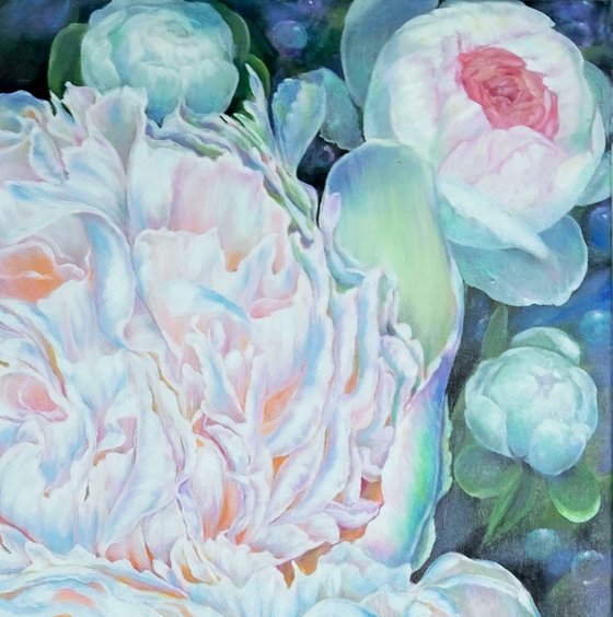 Whisper of Peonies