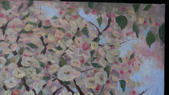 The Blooming Tree