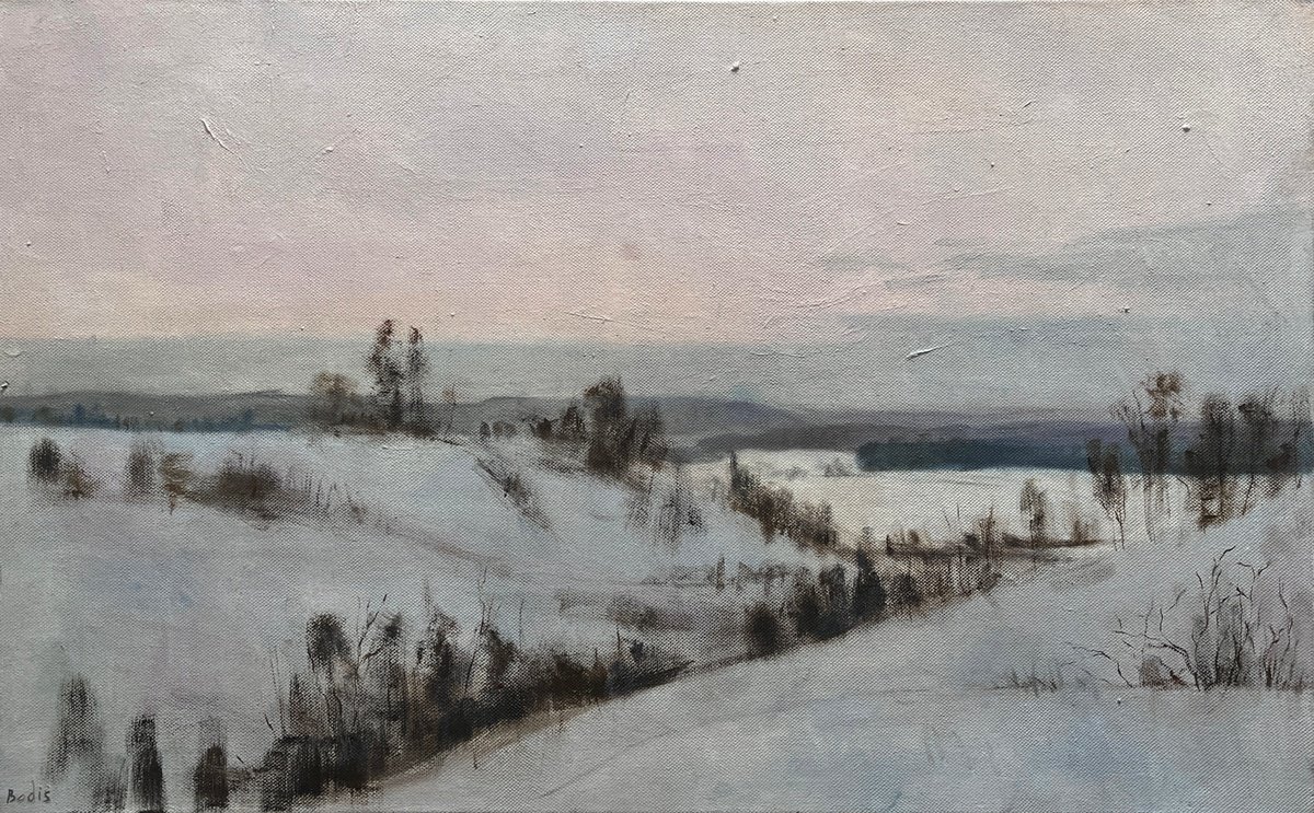 Impressionistic Landscape Oil Painting By Bohdan Dobrivskyi, 31 X 20, Winter