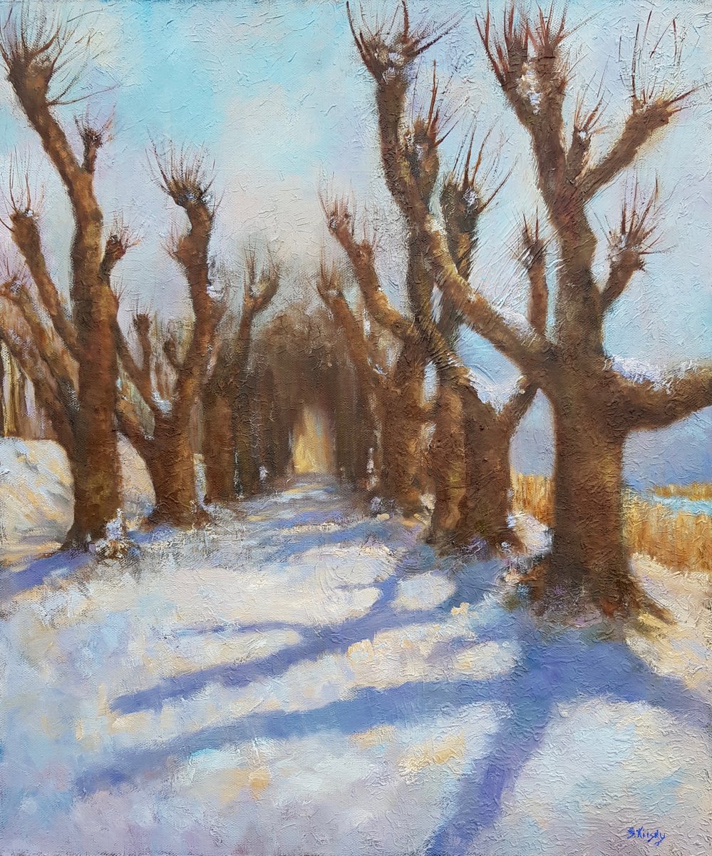 Linden Alley. Winter by Svetlana Grishkovec-Kiisky