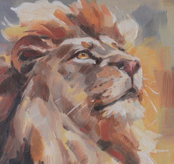 Lion sun, Aslan