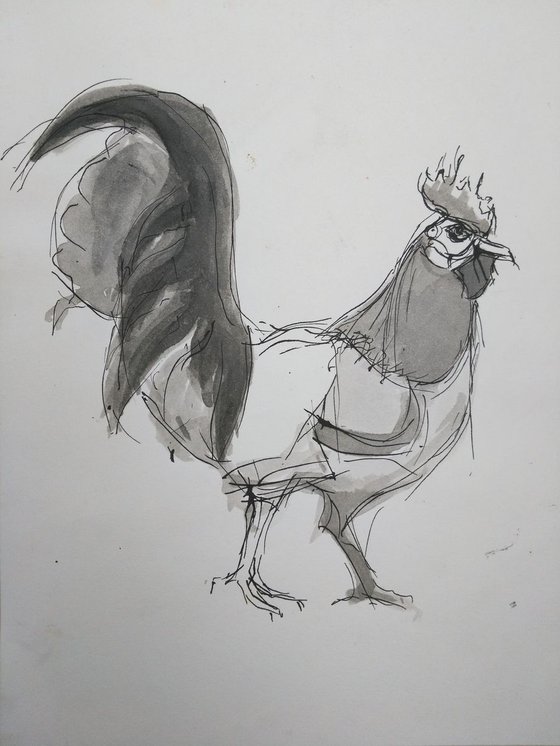rooster 2