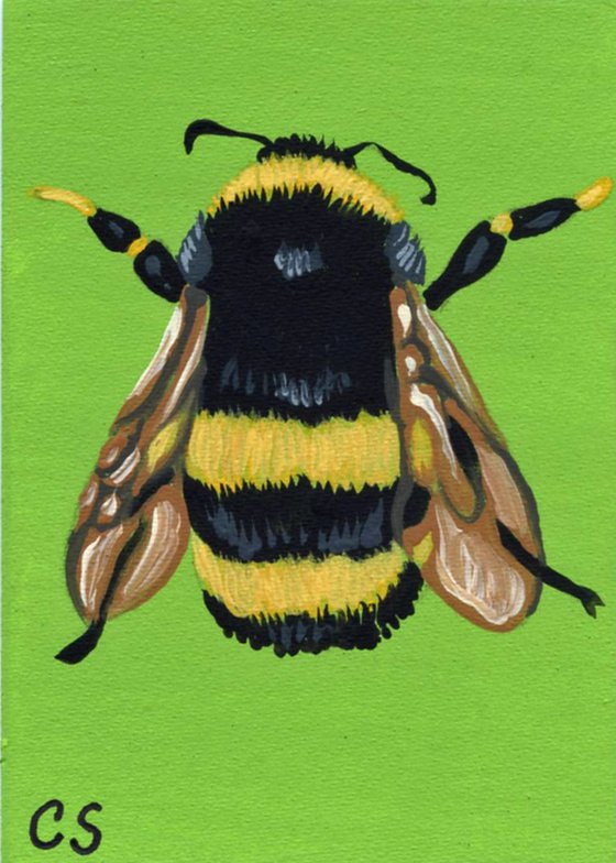 ACEO ATC Original Miniature Painting Bumble Bee Insect Wildlife Art-Carla Smale