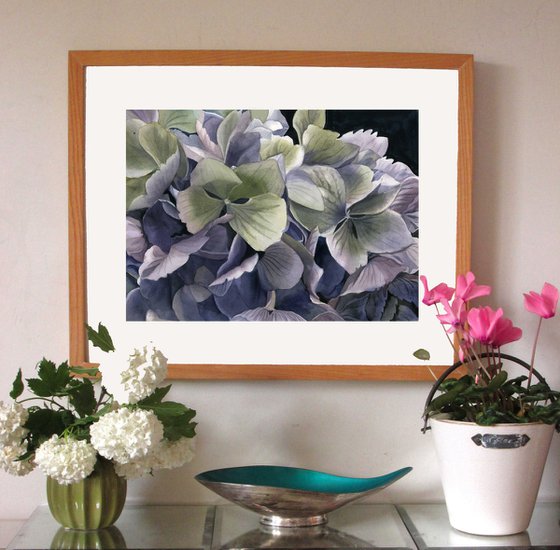 spring hydrangea watercolor