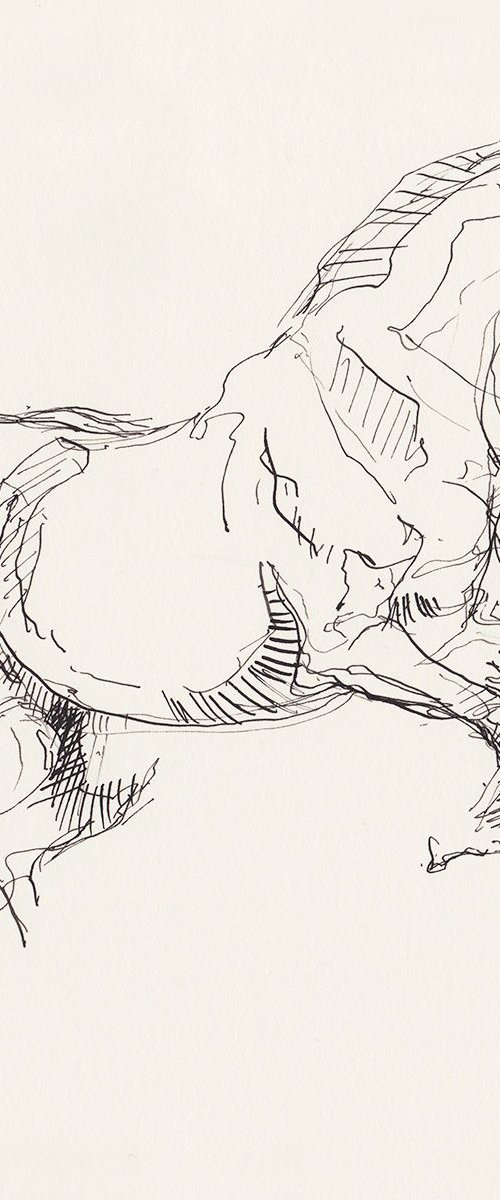 Equine Nude 147 by Benedicte Gele