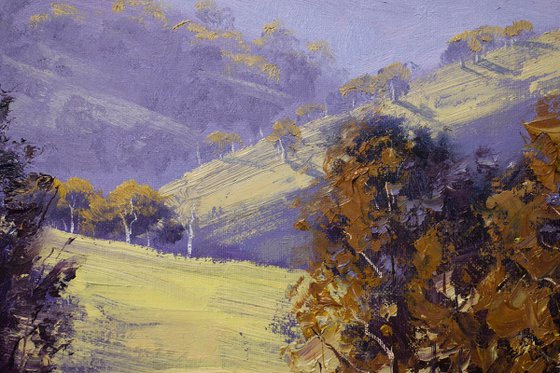 Hilly Landscape Mudgee