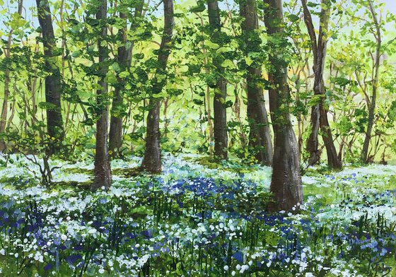 Wild Garlic and Bluebell Woods