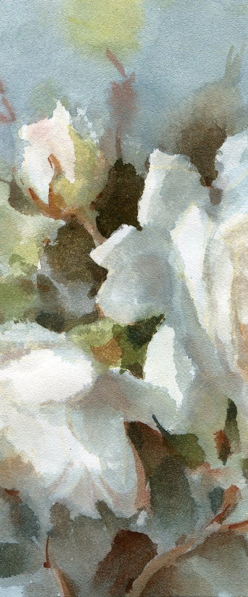 Light roses on a gray background by Yulia Evsyukova