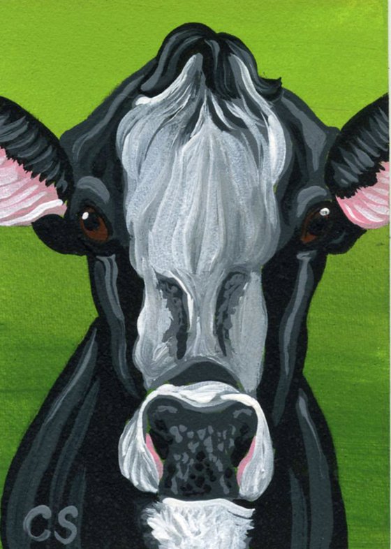 ACEO ATC Original Painting Black White  Cow Farm Animal Art-Carla Smale