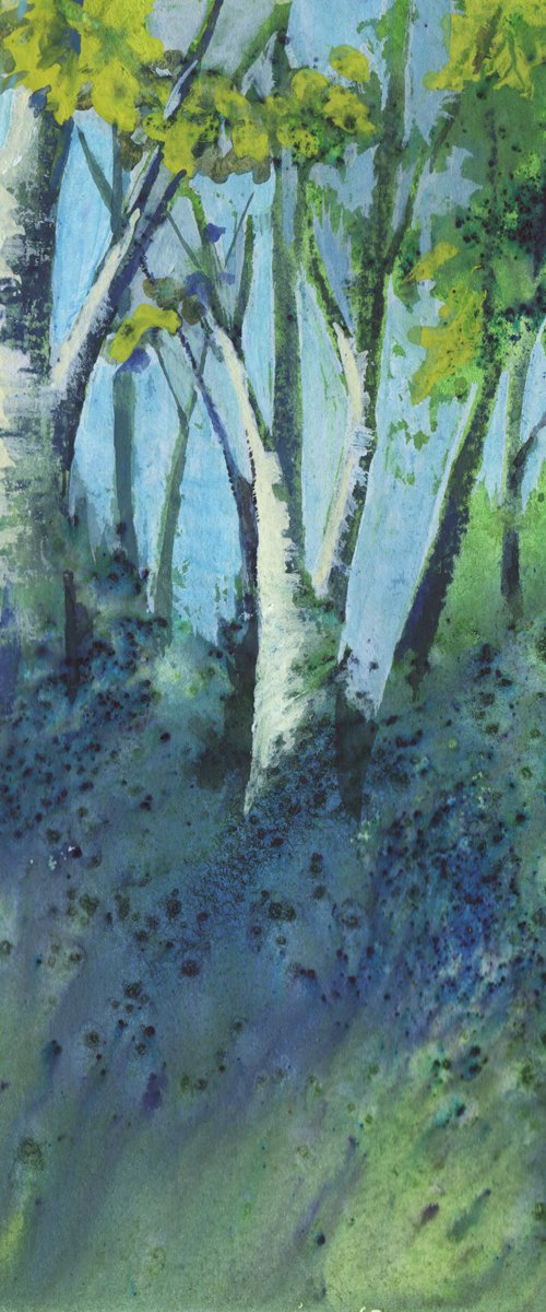 Bluebell Wood by Anjana Cawdell