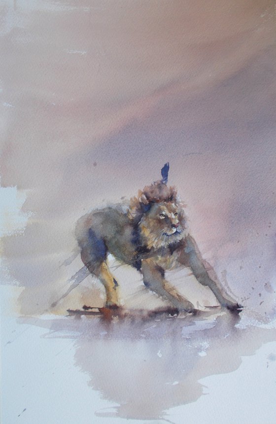 lion 7