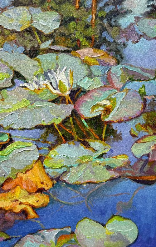 Summer pond. by Andriy Vutyanov