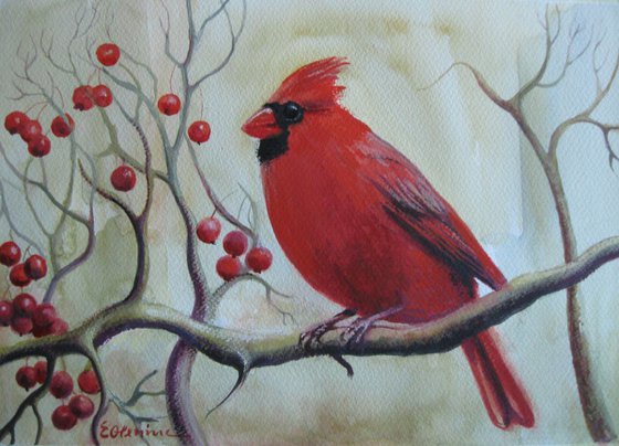 Red bird