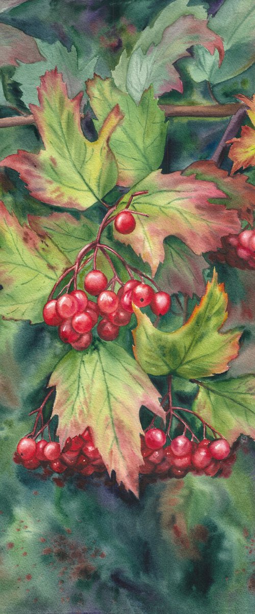 Viburnum. A Moment Between Seasons by Maryna Boiko