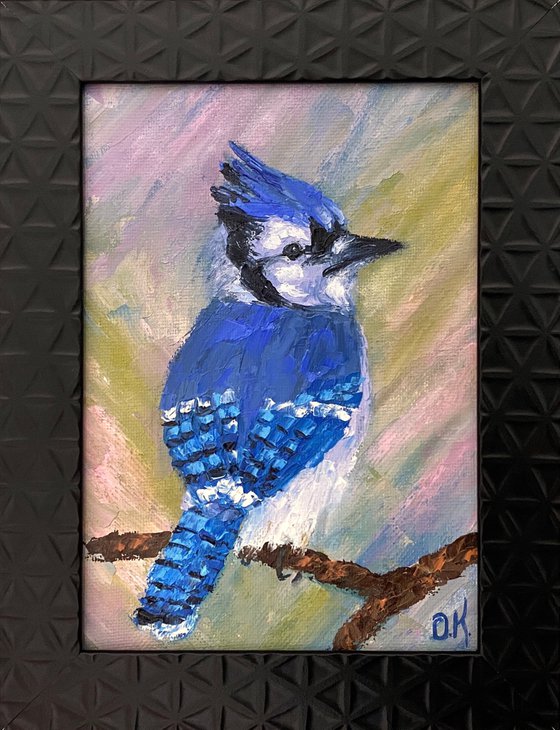 Blue jay