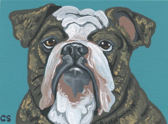 ACEO ATC Original Miniature Painting Olde English Bulldogge Pet Dog Art-Carla Smale