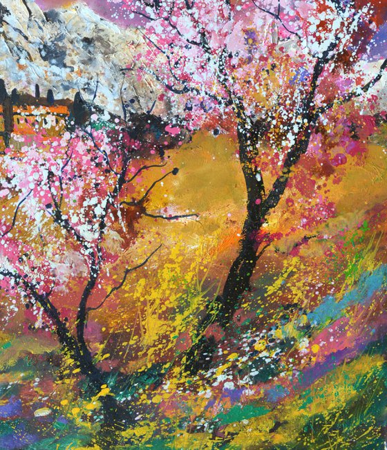 Blooming cherry trees Provence