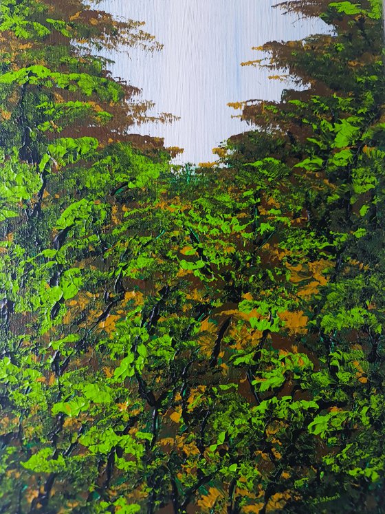 Nice Forest 3