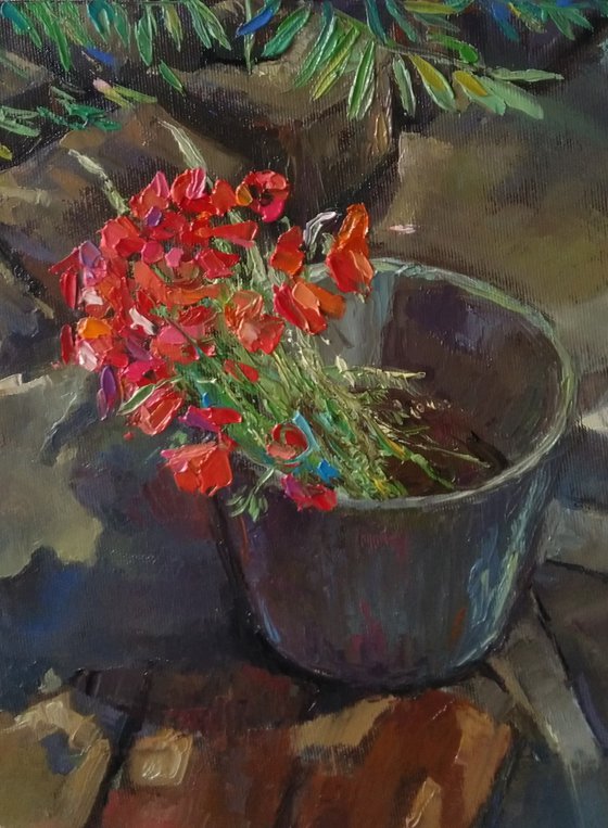 Field poppies (35x35cm, oil canvas, ready to hang)